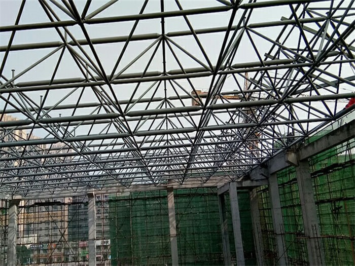 新民光谷第十一小学网架